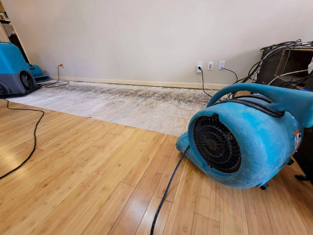Professional Basement Flood Cleanup technician working in Blackwell, MO